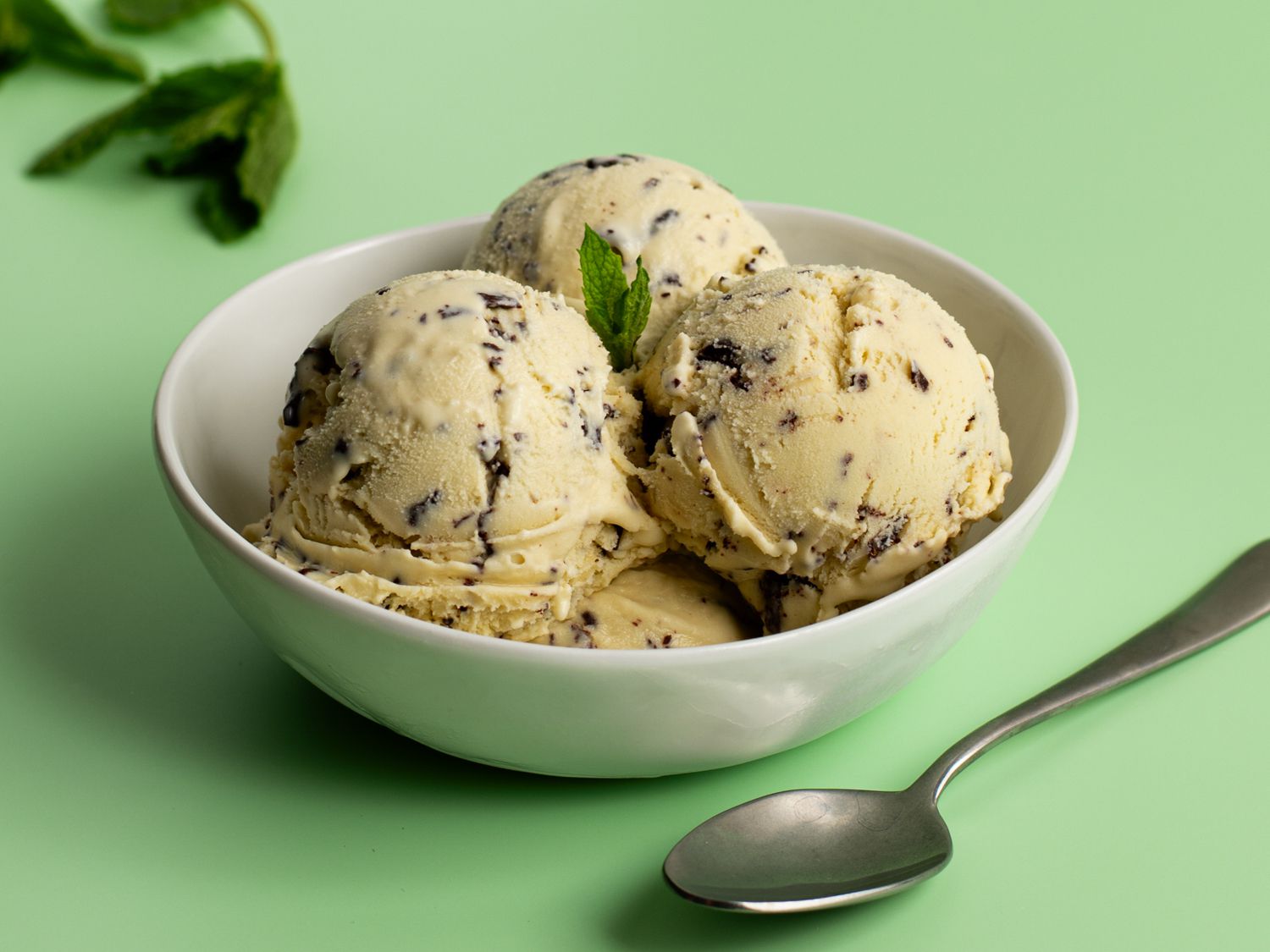 Mint Chocolate Chip Ice Cream