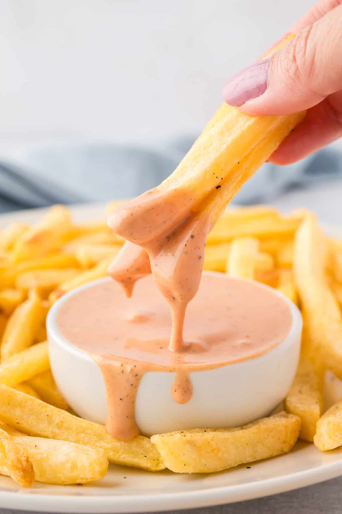 French Fry Dipping Sauce
